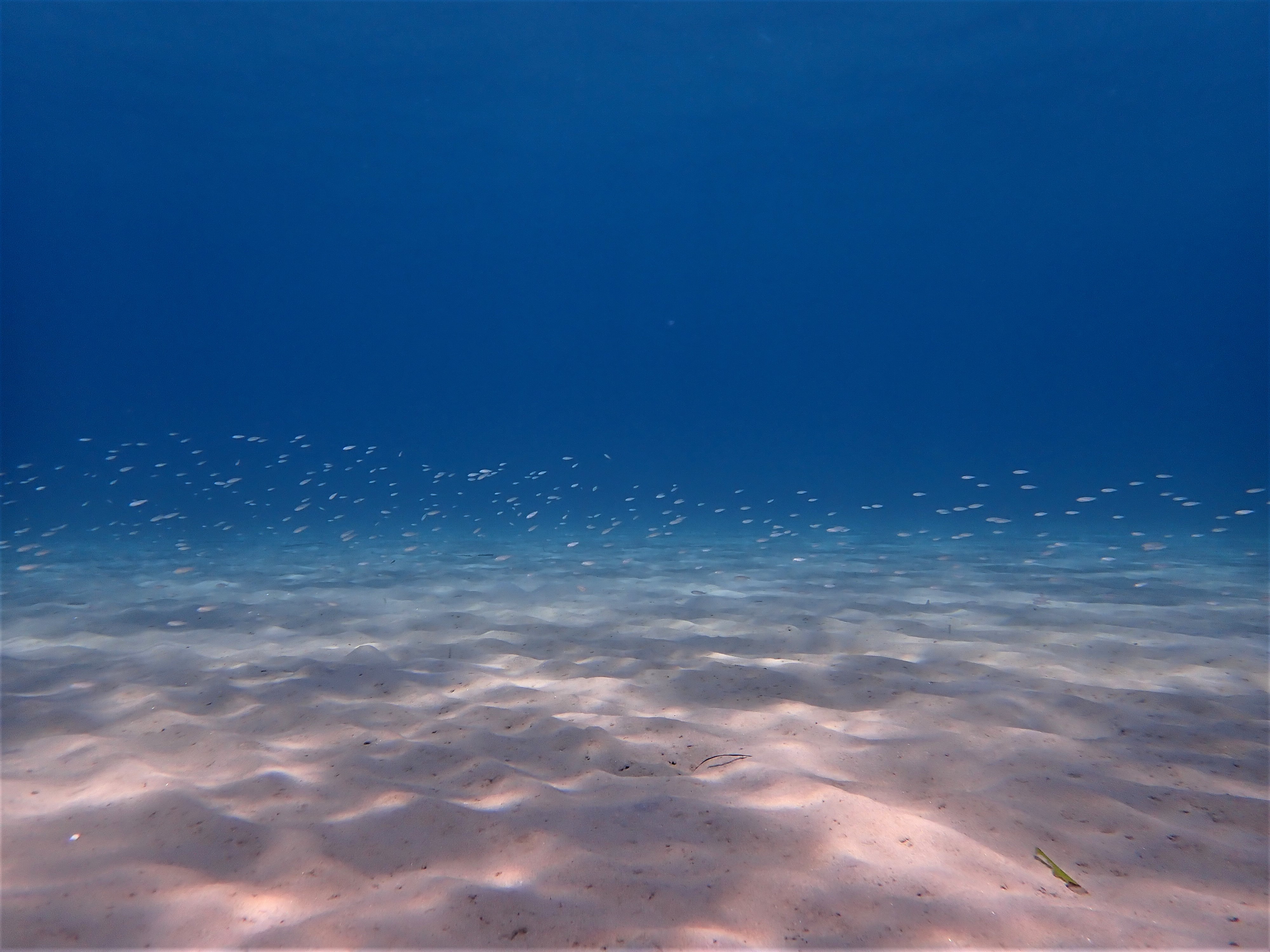 Fond meuble en Méditerranée