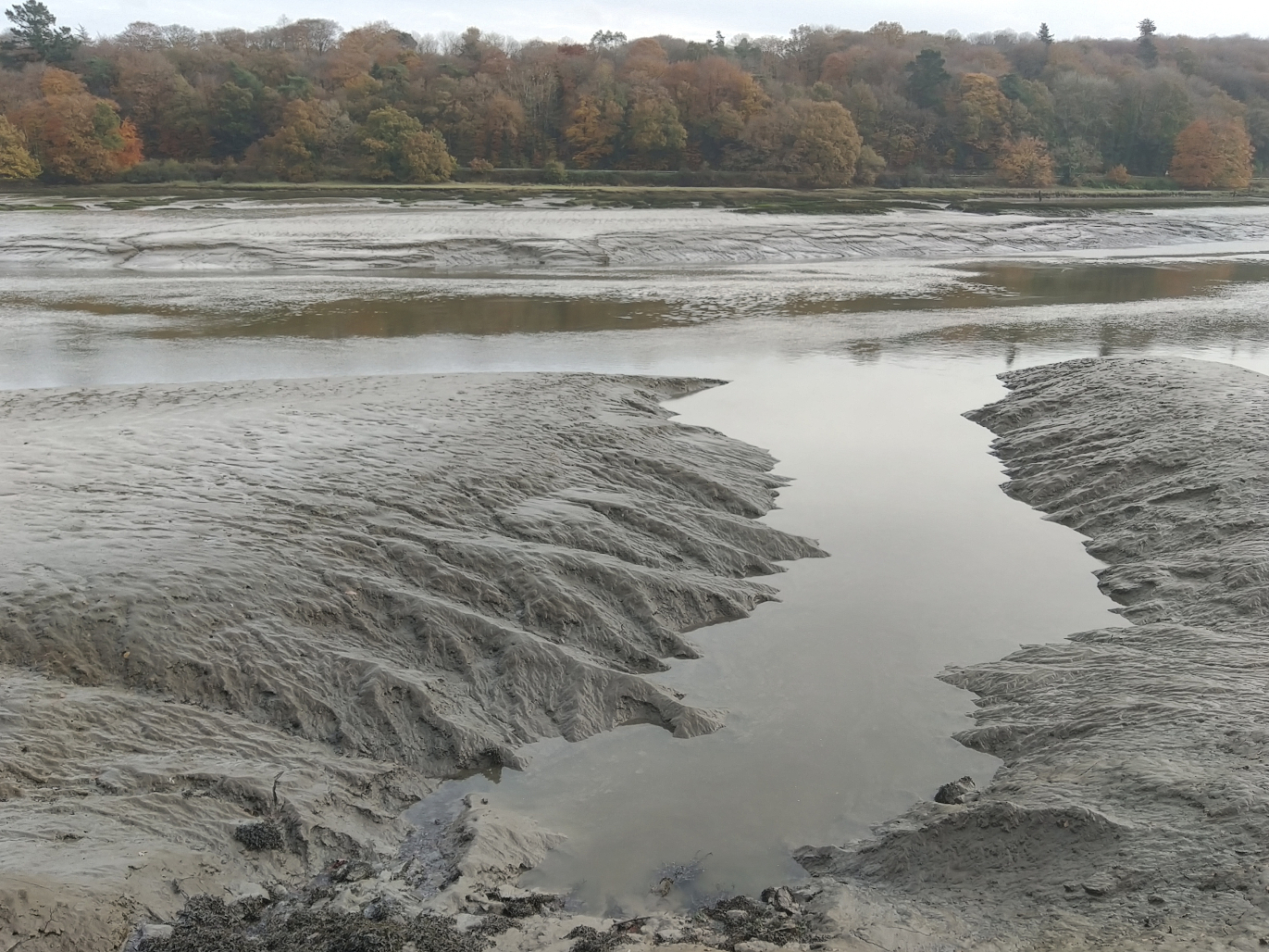 Estuaire de la Rivière de Morlaix