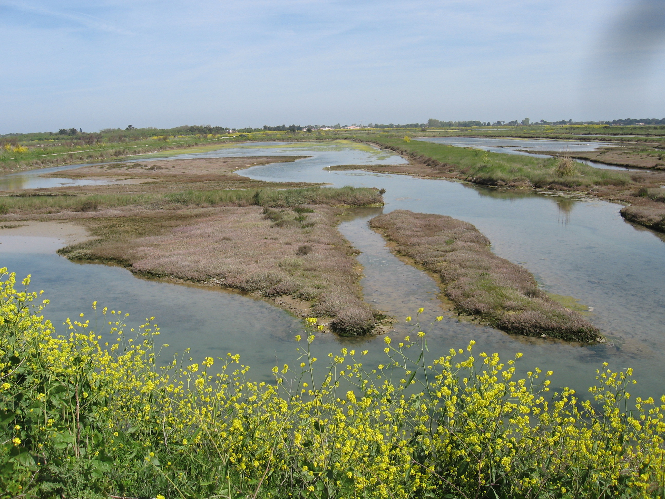 Lagunes côtières atlantique