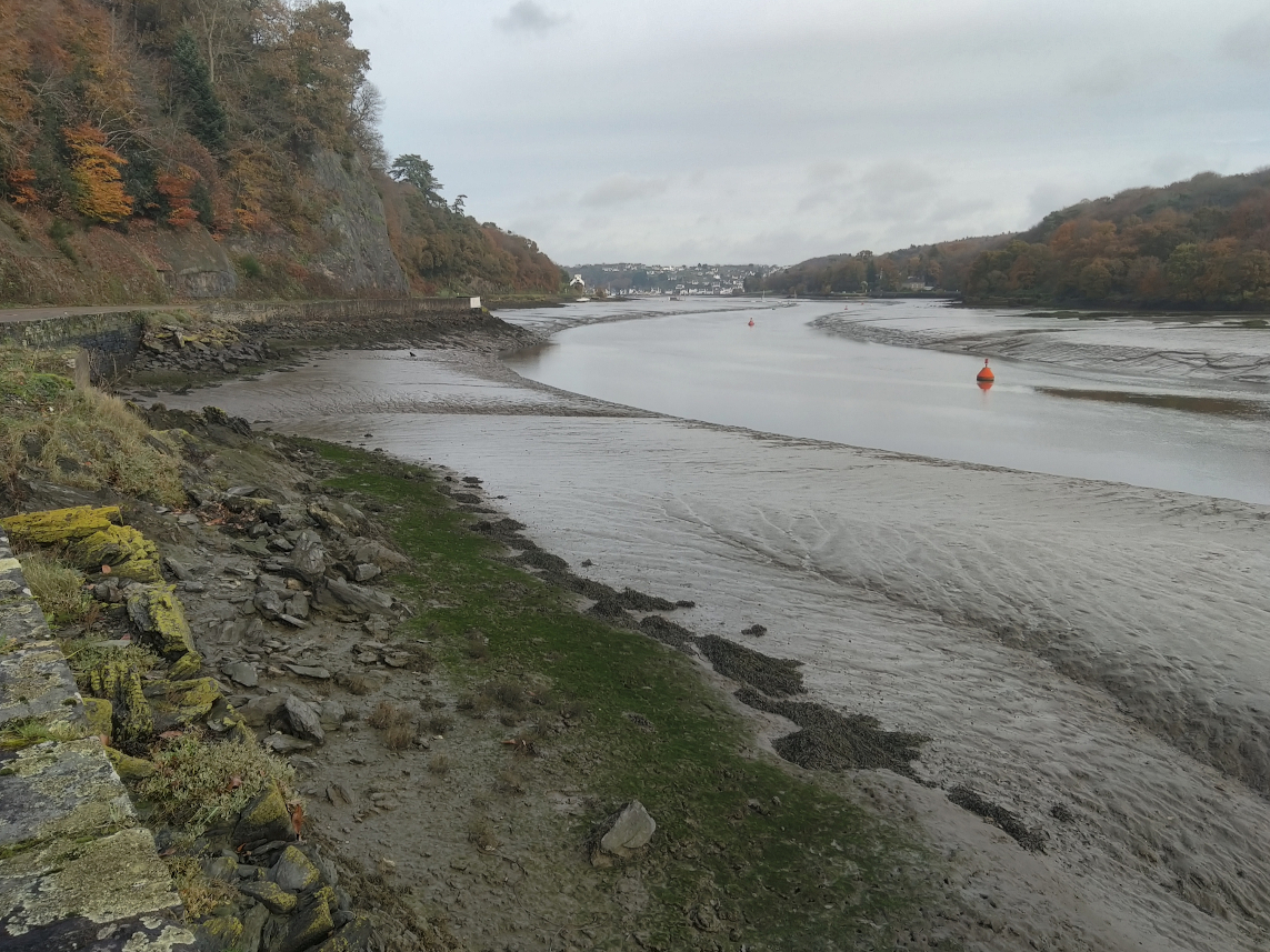 Estuaire - Rivière de Morlaix