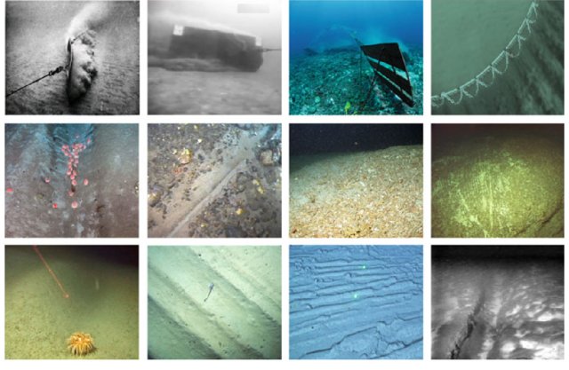 Impacts du chalutage de fond