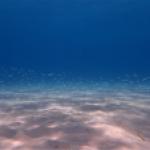 Fond meuble en Méditerranée