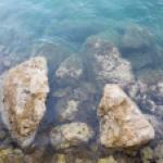 Médiolittoral Méditerranéen