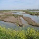 Lagunes côtières atlantique