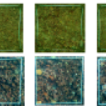 Photo-quadrats de bancs de maërl