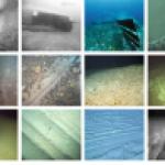 Impacts du chalutage de fond